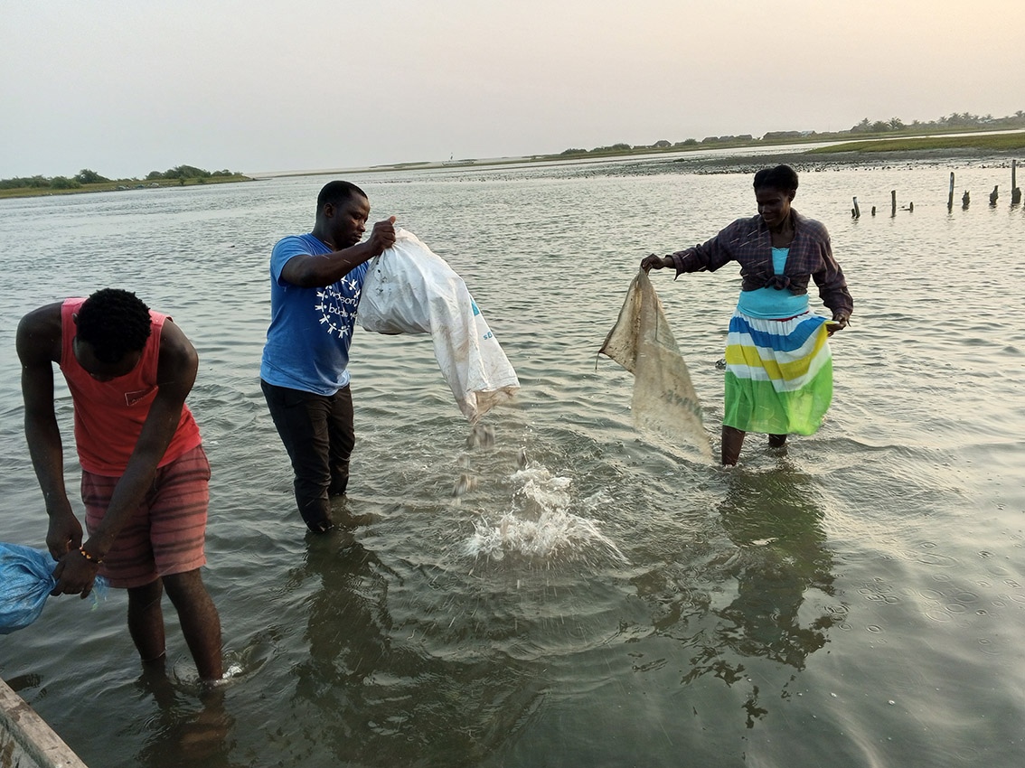 Shell dumping in estuary