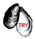 Try Oyster Women Association