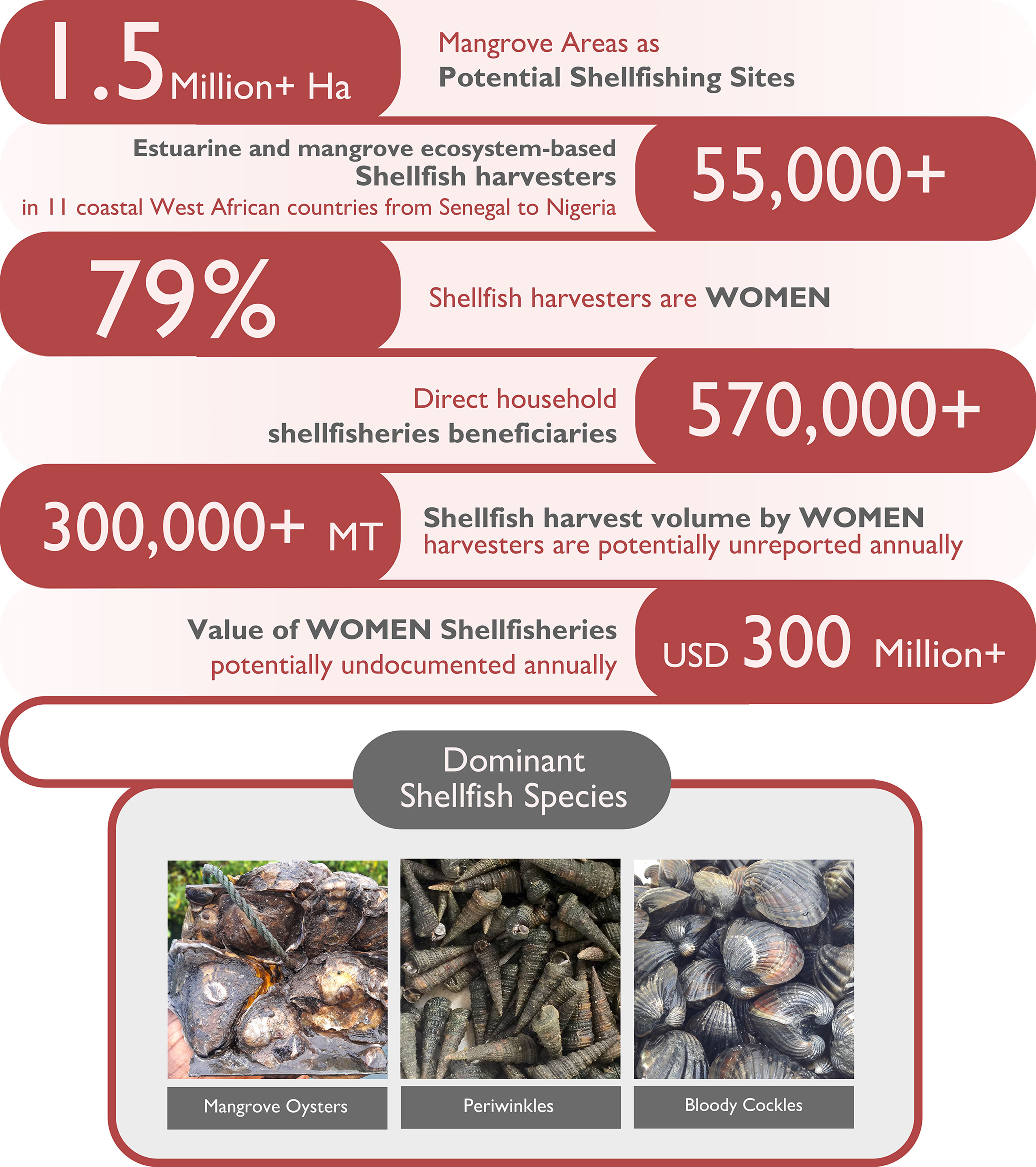 Shellfish statistics in West Africa