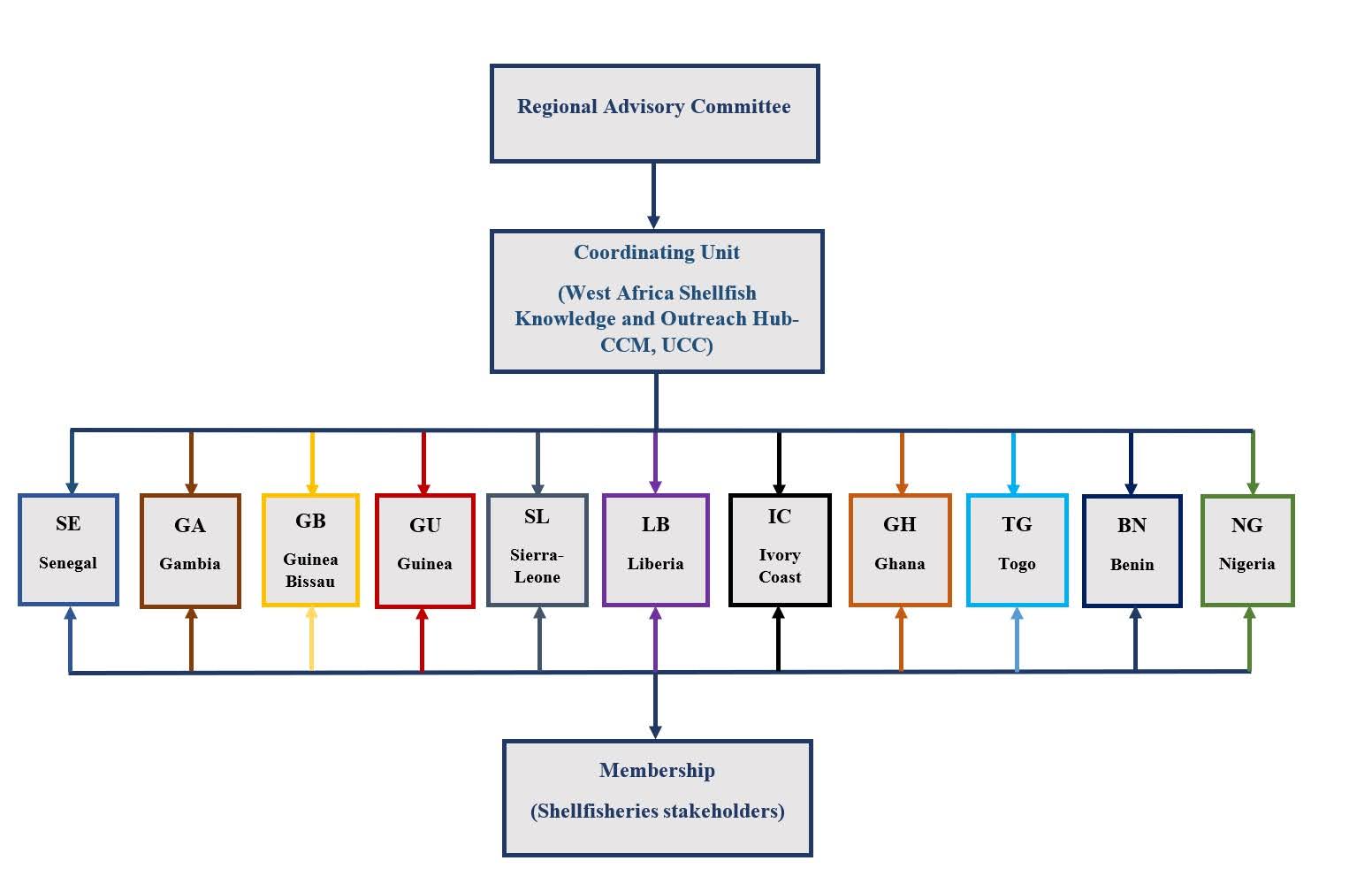 Organogram of WASNet