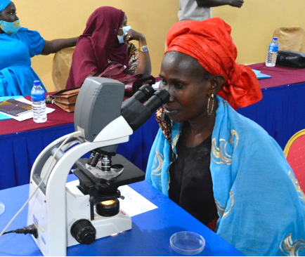 Woman oyster harvester observes oyster sex cells under microscope Woman oyster harvester observes oyster sex cells under microscope