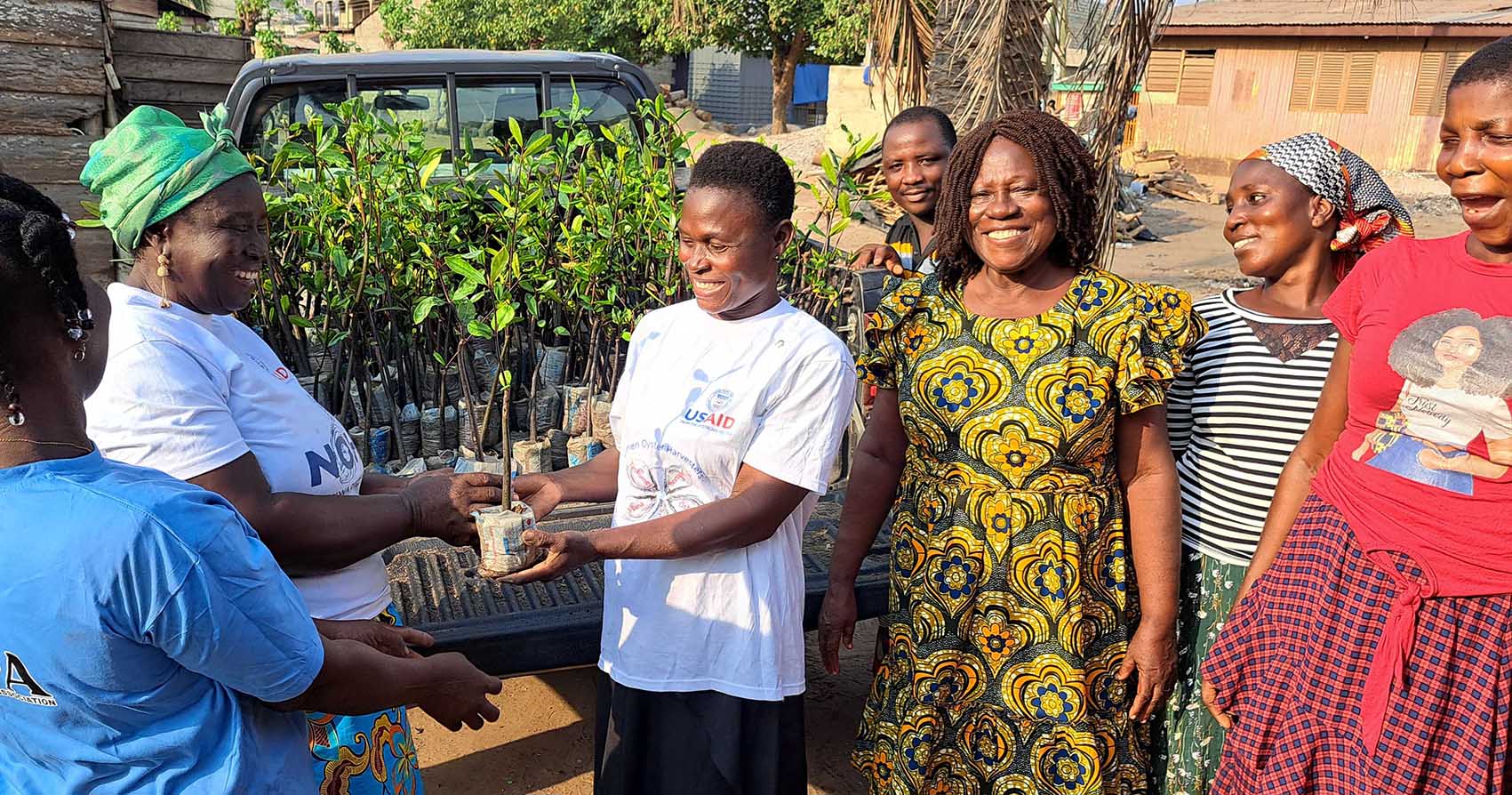 Mangrove seedling stocking being handed over to NOHA by DOPA executives