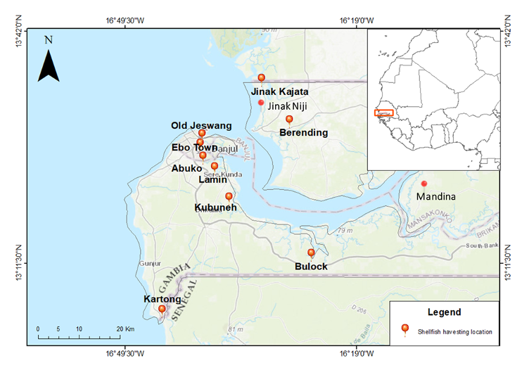 shellfish landing sites in The Gambia